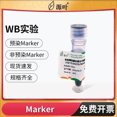 源叶凝胶电泳Marker彩色预染蛋白质分子量标准10-180 200 250kDa