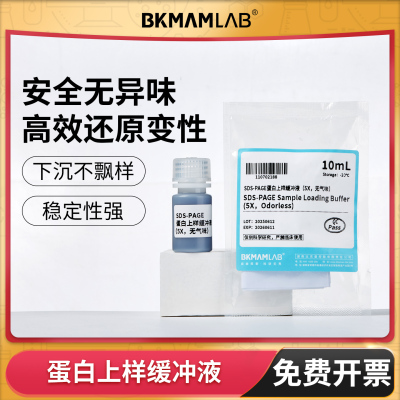 比克曼生物蛋白上样缓冲液