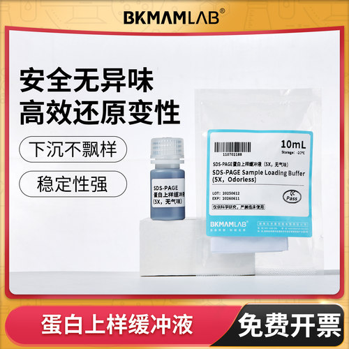 比克曼生物蛋白上样缓冲液