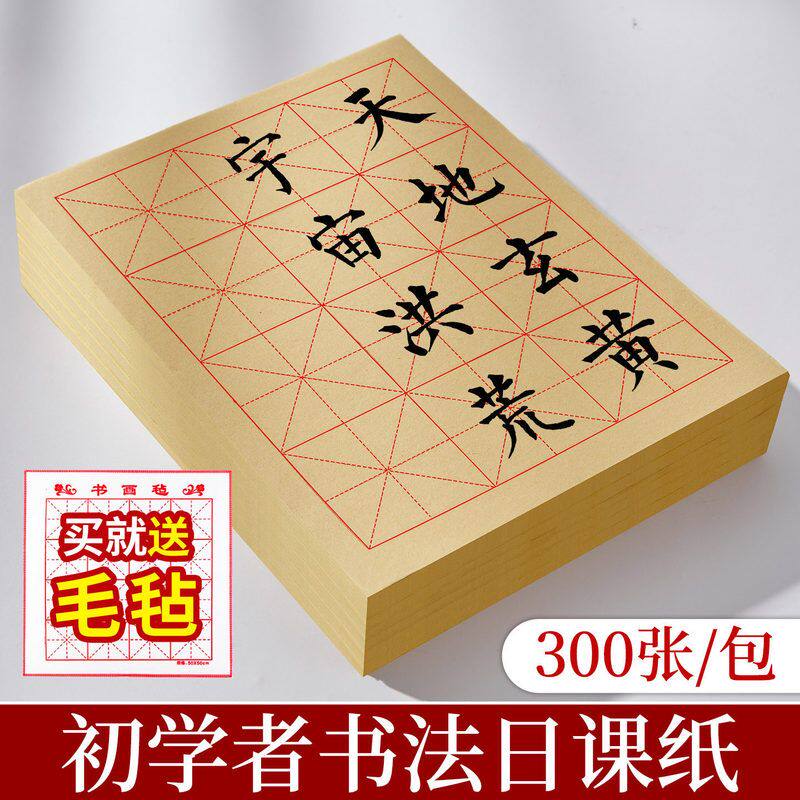 毛笔书法练习毛笔字练习纸书法纸米字格专用纸毛边纸12格初学者