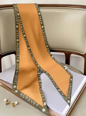 黄色长条小丝巾女新款高级感百搭配衬衫装饰时尚飘带领巾绑包发带