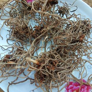 倒竹伞 万寿竹 百尾笋贵州深山高山新鲜现挖中草材 新鲜现挖炖汤