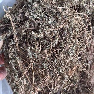 小飞扬草农家自晒奶浆草野生中草药材干飞扬草 小飞扬 乳汁草 地