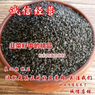 正品 高山韭菜子中草材可磨韭菜子籽粉可男性泡酒可泡韭菜子茶新货