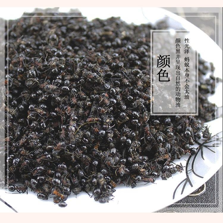 广西大黑蚂蚁干正品高山拟黑多刺蚁黑蚂蚁散装养生泡酒料食用