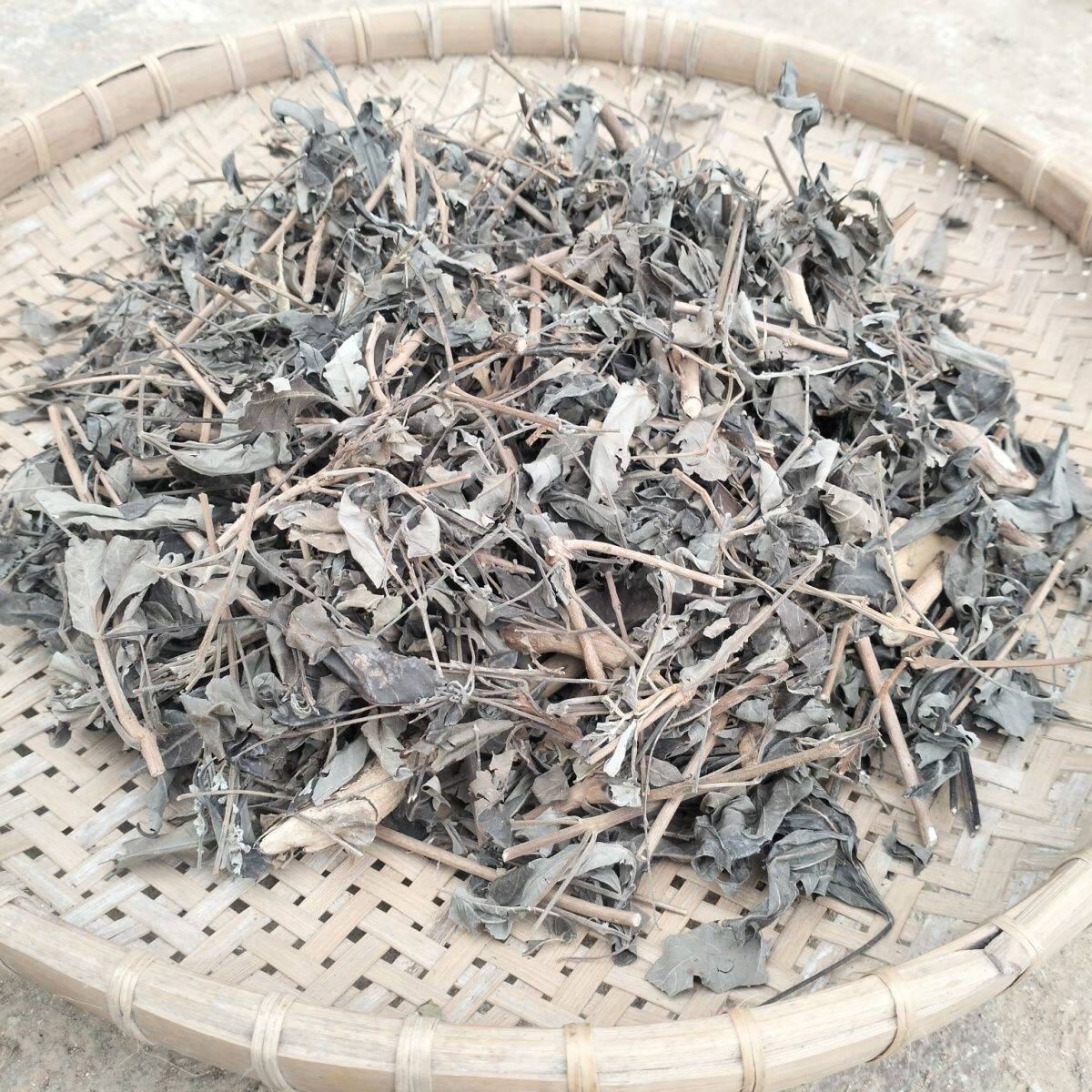 广西新晒五指枫 本草材牡荆枝叶 五指风黄荆干品  洗澡草药