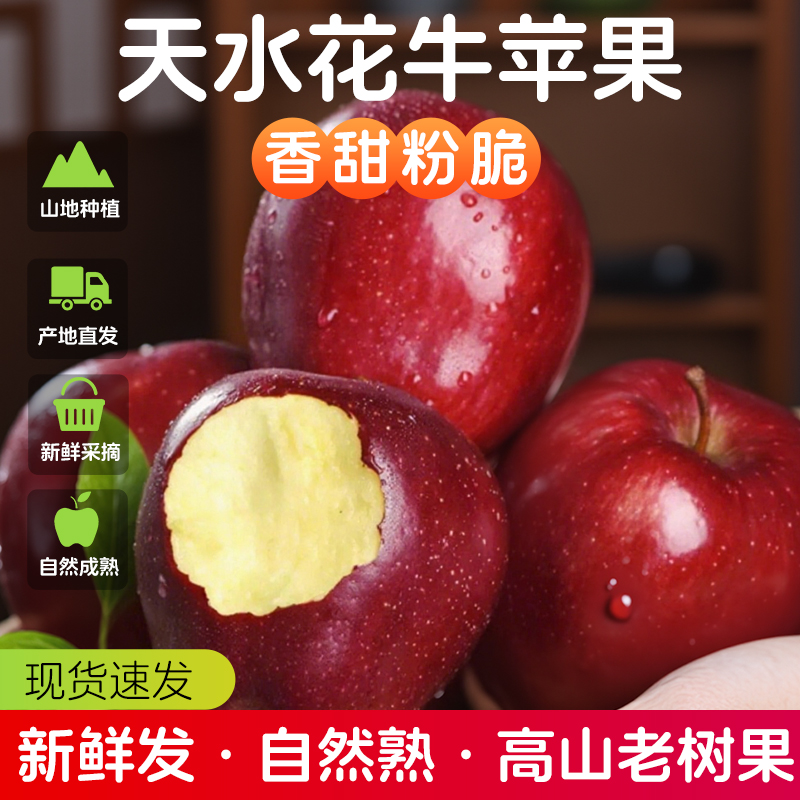 甘肃天水苹果花牛新鲜水果当季现摘现发
