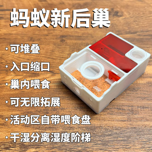 蚁巢平面巢干湿分离新后巢猛蚁弓背蚁收获蚁3D打印蚂蚁巢酷乐蚂蚁