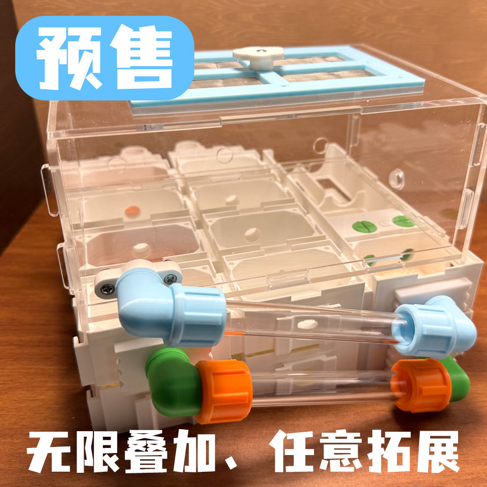 蚁巢试管巢平面巢干湿分离新后巢收获蚁弓背蚁猛蚁蚂蚁巢酷乐蚂蚁