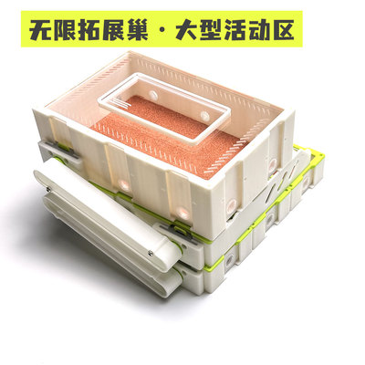折叠蚁巢无限拓展平面巢新后巢收获蚁弓背蚁试管巢猛蚁蚂蚁巢酷乐