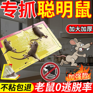 粘鼠板强力胶粘大老鼠贴扑捉器耗子克星超强家用驱鼠捕鼠诱饵神器