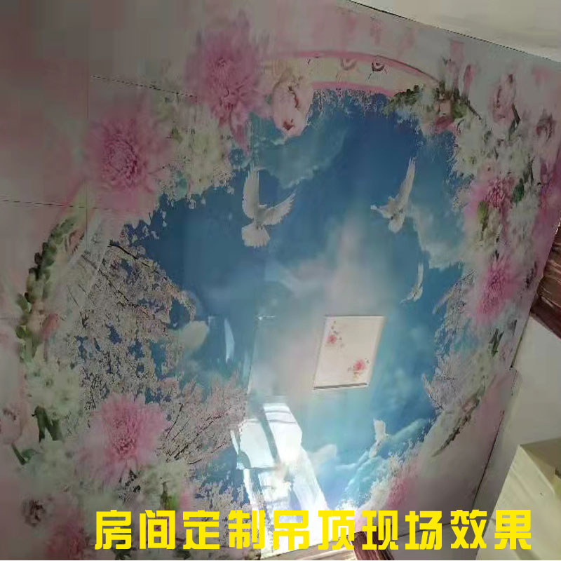60X60定制铝扣板游泳馆主题吊顶儿童医院特色天花板学校个性扣板