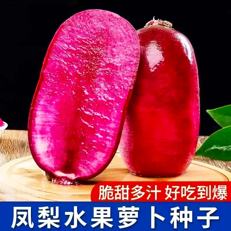夏秋播今年新品种凤梨水果萝卜种子生吃冰糖心紫皮紫心萝卜种籽子