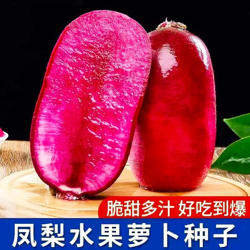 夏秋播今年新品种凤梨水果萝卜种子生吃冰糖心紫皮紫心萝卜种籽子