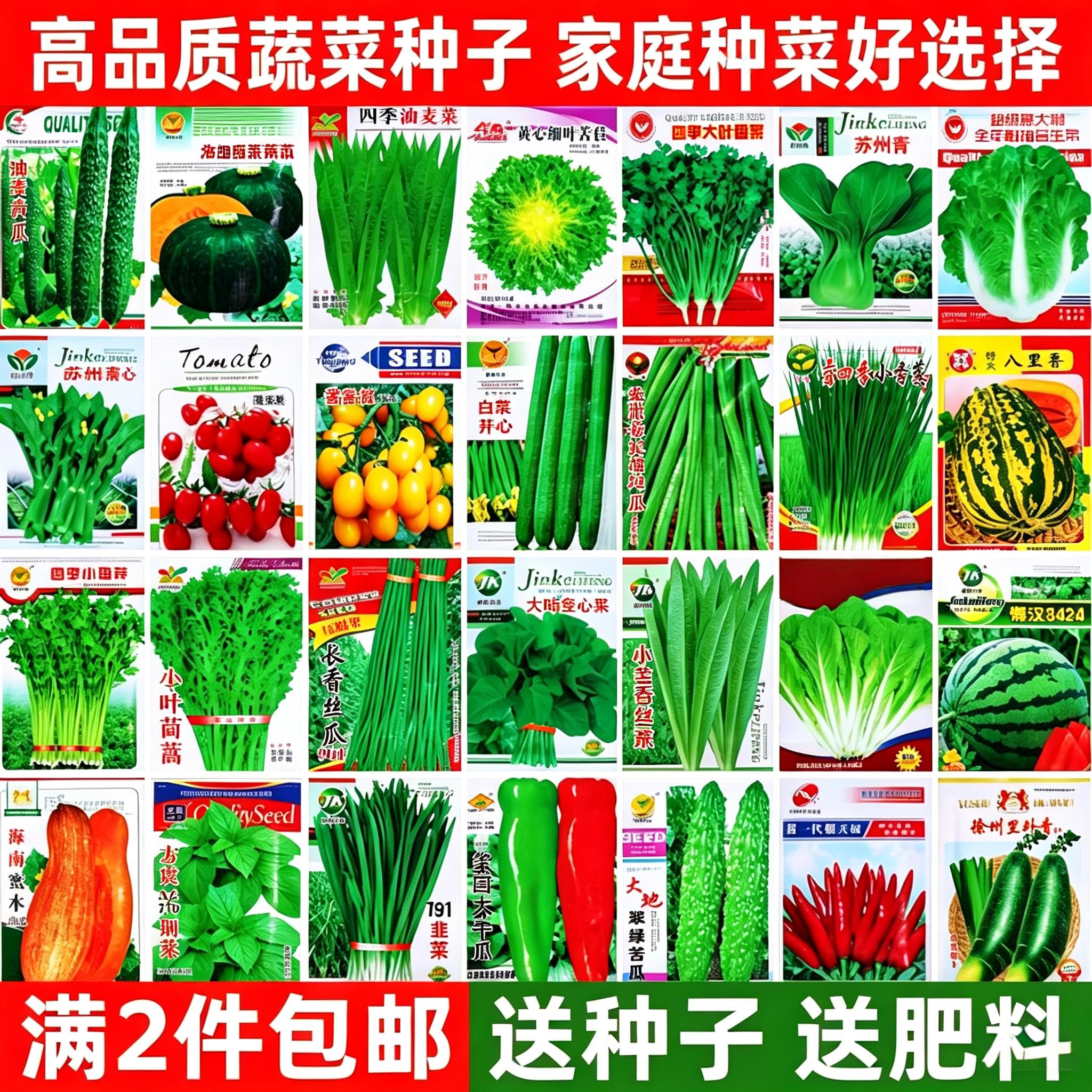 蔬菜种子辣椒黄瓜生菜豆角香瓜四季播种蔬菜种子组合装各种菜种子图片