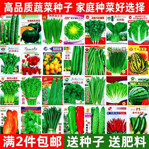 蔬菜种子辣椒黄瓜生菜豆角香瓜四季播种蔬菜种子组合装各种菜种子