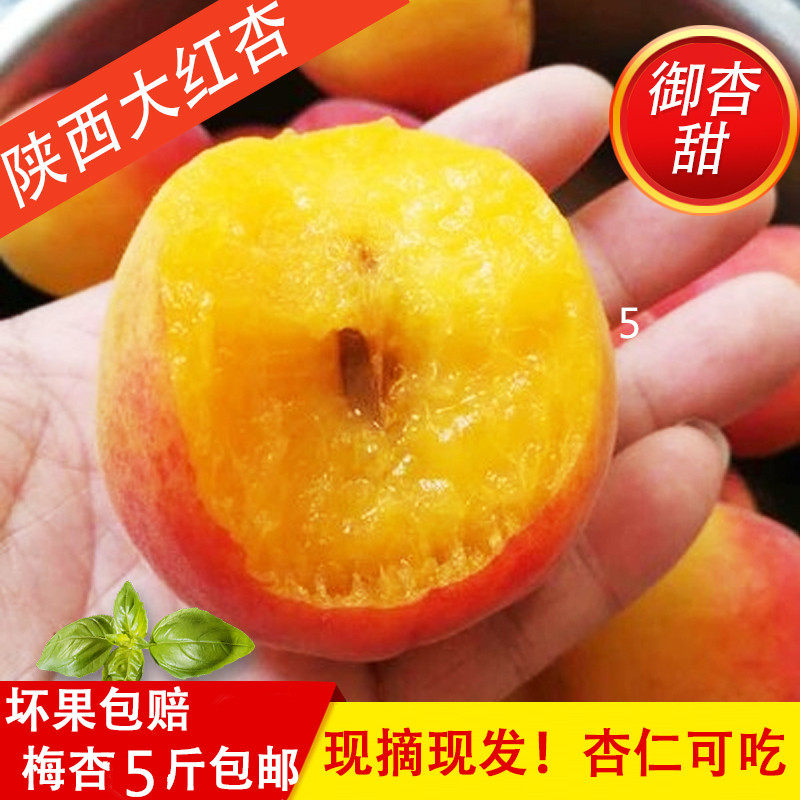 杏子新鲜水果陕西大红杏御杏红杏孕妇水果整箱5斤包邮非梅杏御杏