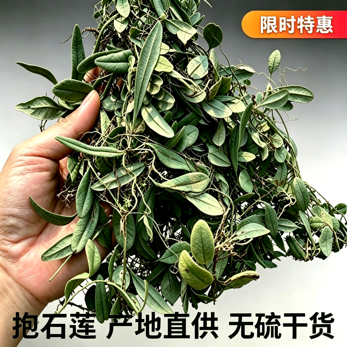 抱石莲干货无硫足干产地直供