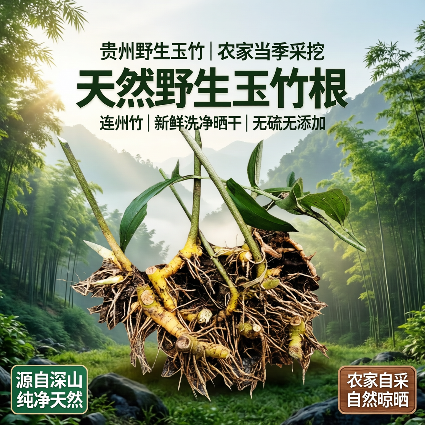 贵州野生玉竹根玉术中药材玉竹参农家当季新鲜采挖洗净晒干连州竹