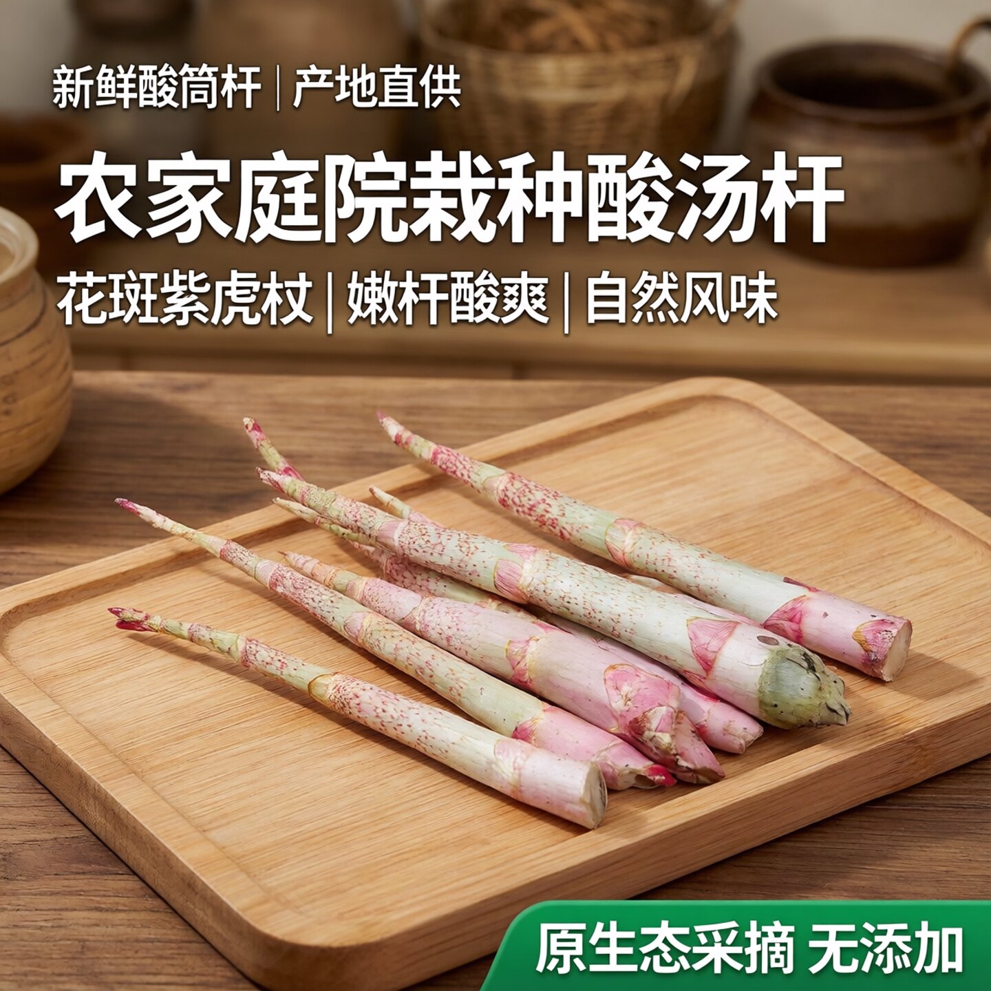 新鲜采摘川筋龙酸桶笋酸筒杆嫩杆