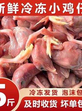 冷冻小鸡仔脱毛小鸡猫咪生骨肉营养冻干狗粮宠物零食蛇鹰甲鱼鳄龟