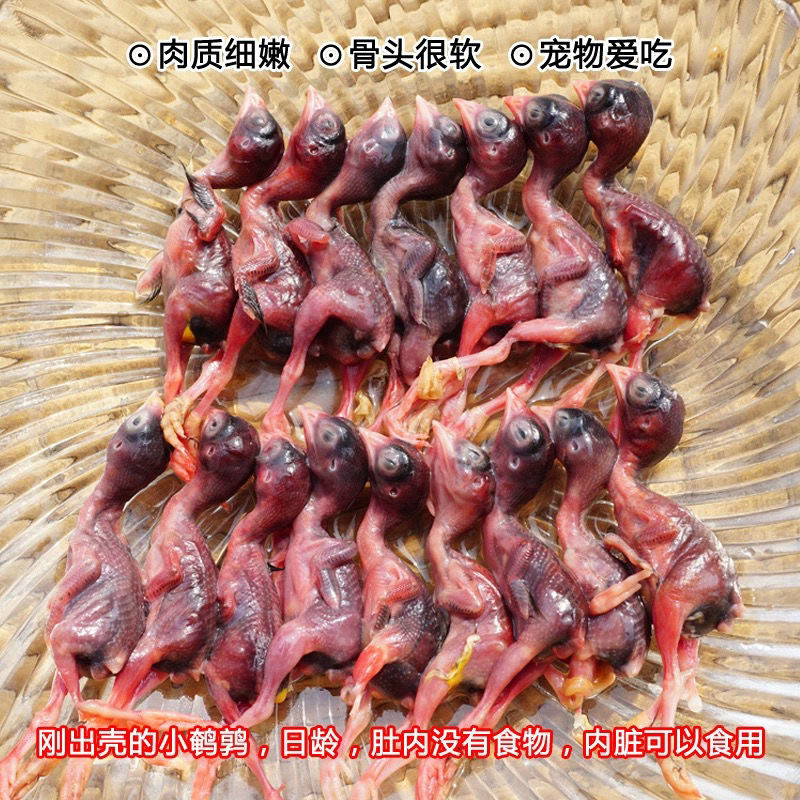 鹌鹑冻鲜小鹌鹑肉冷冻乳嫩幼仔雏鸟现杀肉类宠物零食生骨肉240只