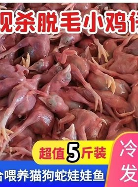 喂蛇猫狗鹰貂龟青蛙鳄鱼脱毛小鸡仔小鸡冷冻猫咪食用生肉新鲜鸡苗