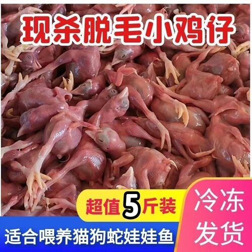 喂蛇猫狗鹰貂龟青蛙鳄鱼脱毛小鸡仔小鸡冷冻猫咪食用生肉新鲜鸡苗