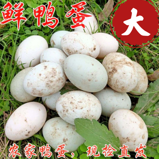 新鲜大鸭蛋生鸭蛋散养土鸭农家湖里放养绿壳生鲜麻鸭蛋30枚70-80g