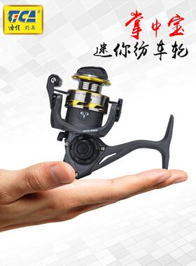迪佳垂钓轮子纺车轮钓鱼轮