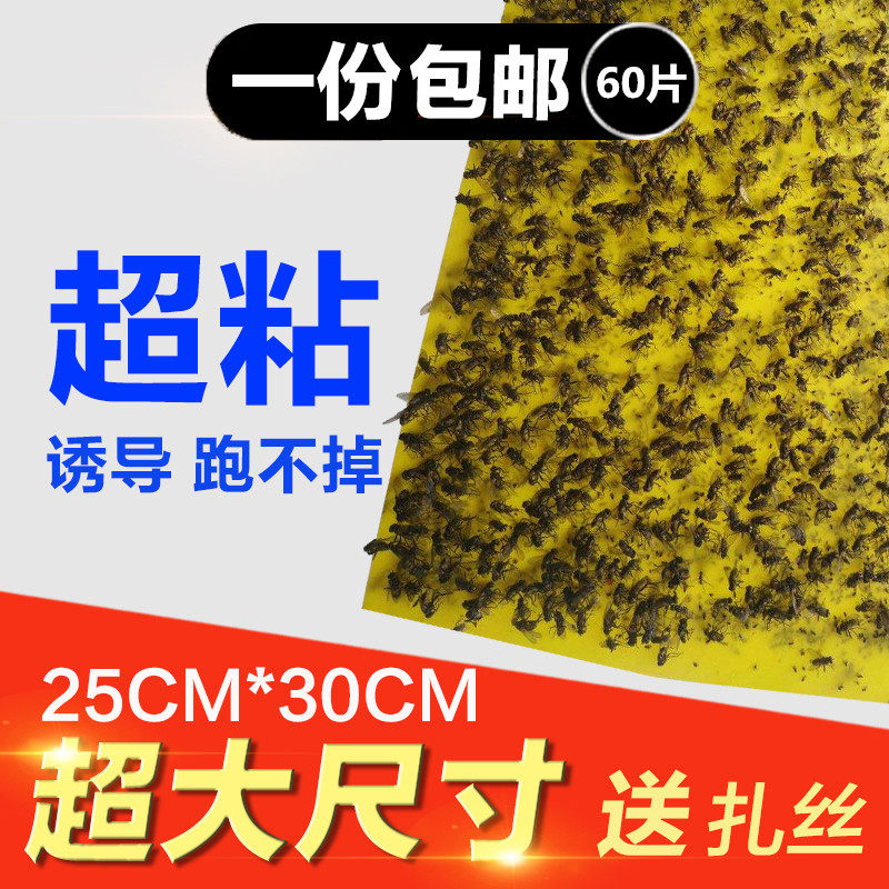 双面粘虫板黄板蓝板包邮特效诱虫板覆纸膜黏虫板茶园大棚果蔬杀虫