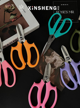 芯苼物语 花艺剪刀总动员 韩式花艺师花店修枝园艺剪鲜花手工剪纸