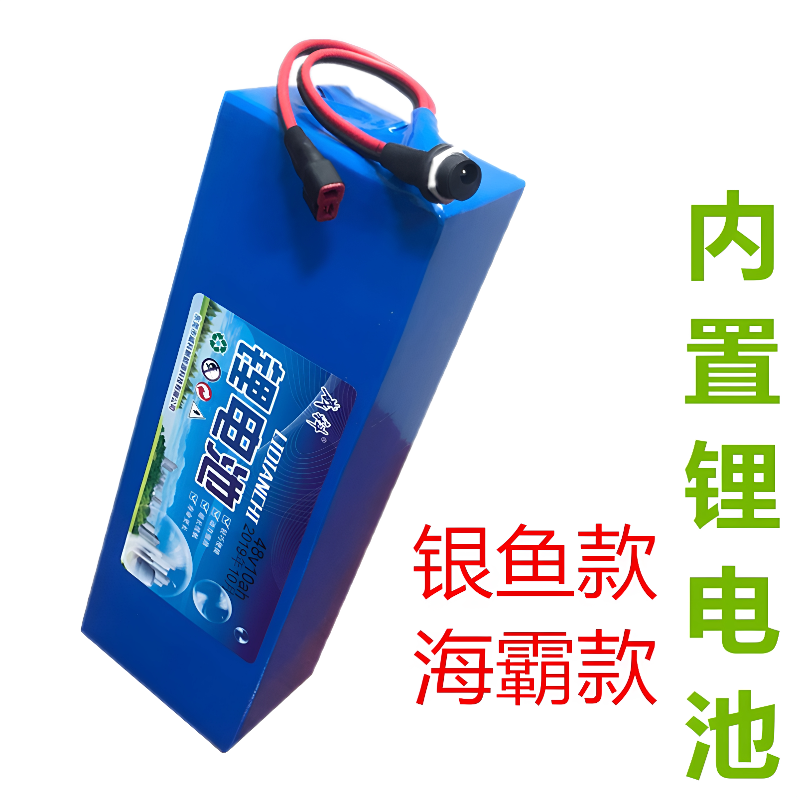 电瓶48v银鱼款内置36v滑板车电瓶图片
