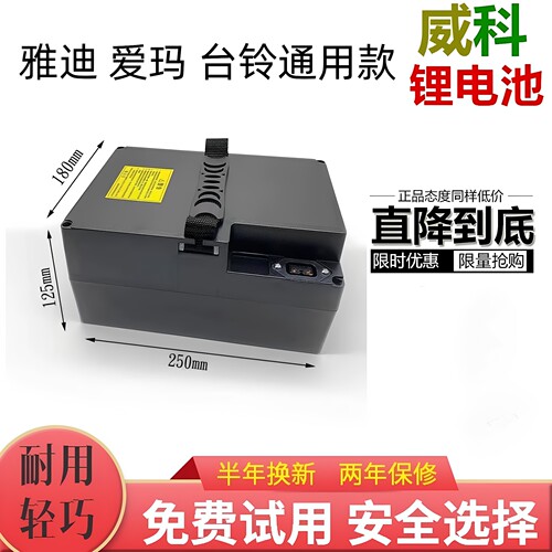 同款星恒天能48v20ah锂电池