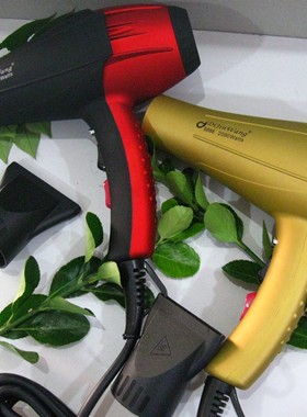 迪劲王吹风机家用电吹风大功率发廊理发店专用2580W不伤发正品