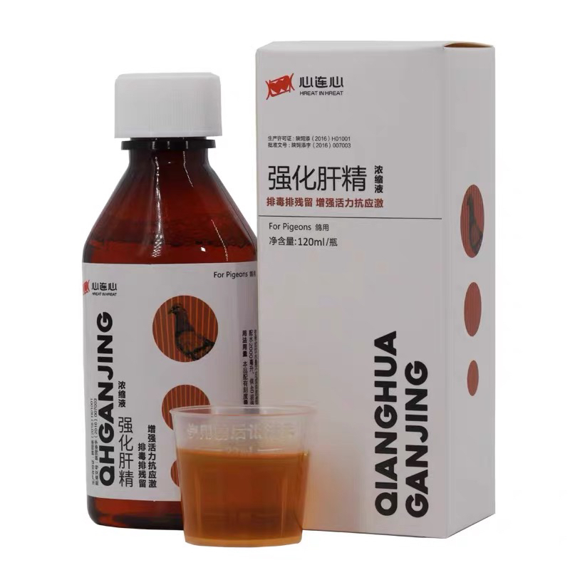心连心鸽药肝精鸽120毫升调理肝脏护肝强化肝精浓缩液鸽子药