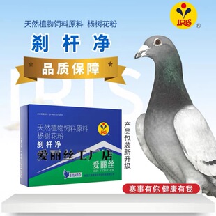 爱丽丝沙门氏大肠杆菌杀星5gX10袋肠道鸽子药二合一伤寒停刹杆净