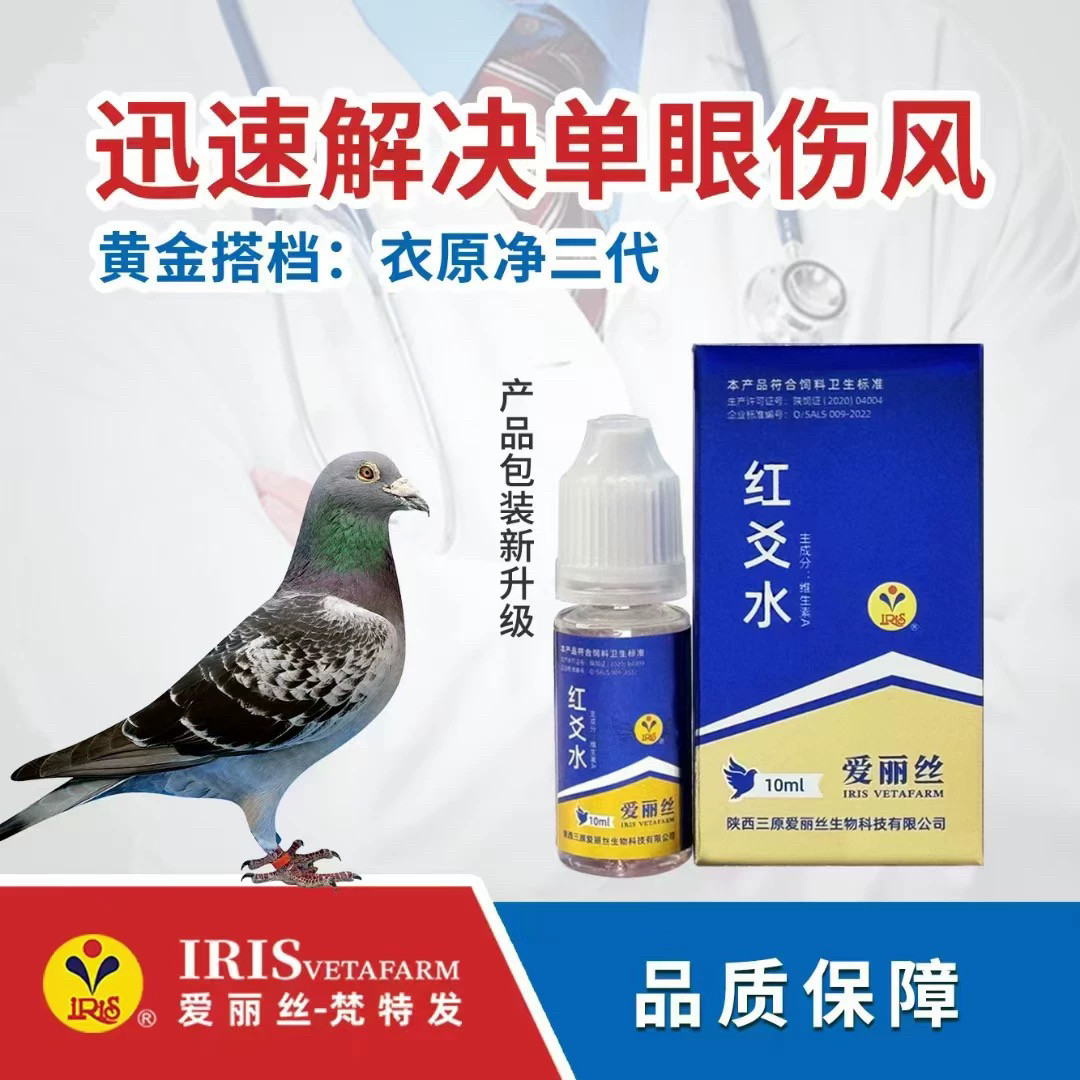 爱丽丝鸽药红爻水10ML信赛鸽子鹦鹉单眼伤风流眼泪衣支原体红药水