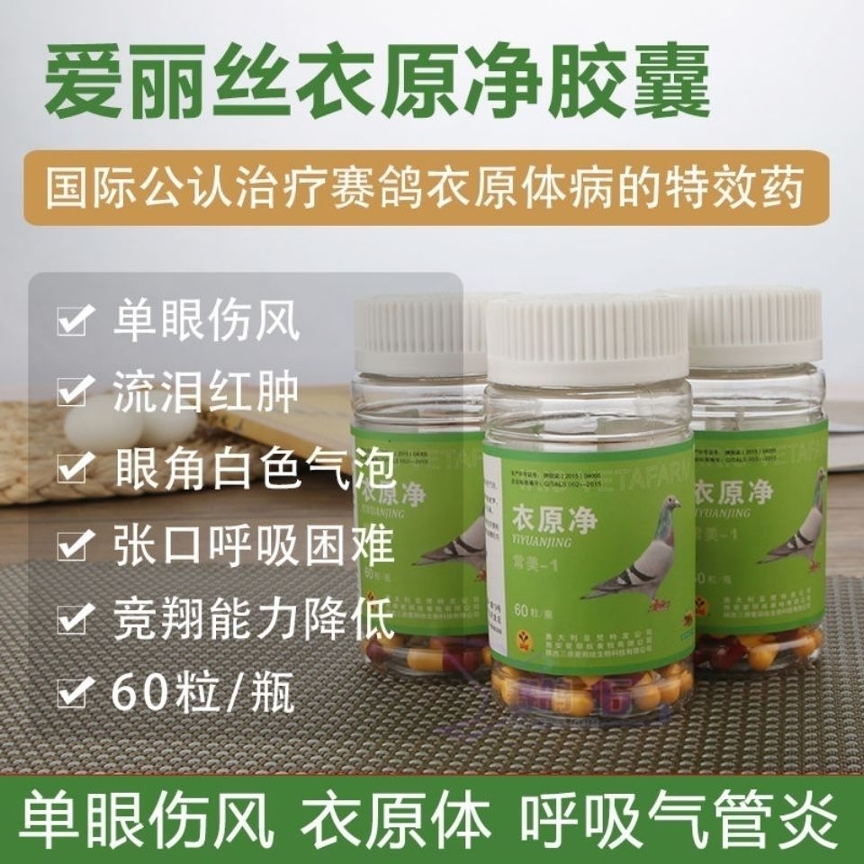 爱丽丝鸽药衣原净片单眼伤风眼睛流泪红肿衣原体感染鹦鹉鸟鸽子药