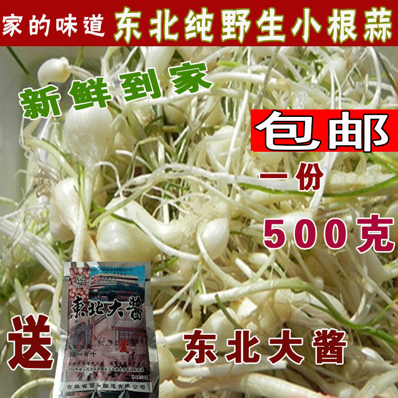 东北新鲜山野菜小根蒜大脑瓜大脑蹦蘸酱菜长白山新鲜山野菜小根蒜