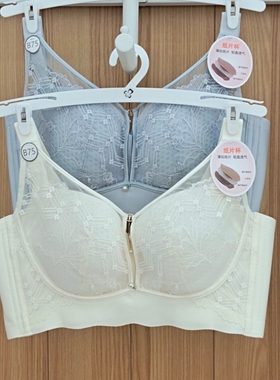 都市丽人内衣LJH2K7无钢圈纸片杯全包大胸小胸透气聚拢舒适文胸