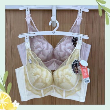 都市丽人新款内衣LJC1C5普拉提加宽测比收副乳四排中厚杯聚拢文胸