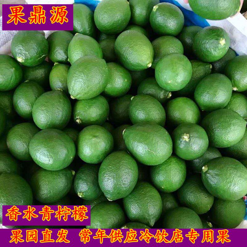 四川青柠檬5斤新鲜水果现货大中小果一级奶茶店多汁独立