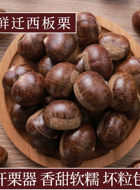 2025现挑精选正宗迁西板栗生新鲜河北3113毛栗子燕山野生大油栗粟