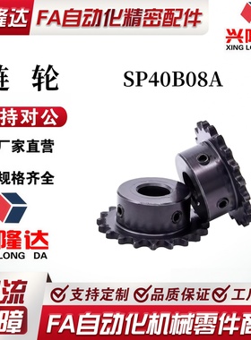 替米思米SP40B08A链轮齿轮传动链条轮9 10 11 12 13 15 20 25 30