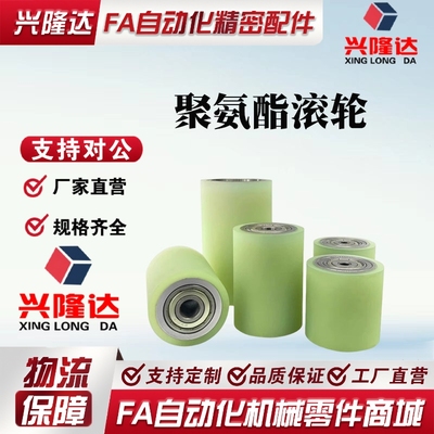 QAF31/32/33/41/42/43-D40/D50/D60/D80/D100-d8/d10/d12/d15滚轮