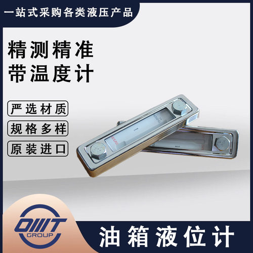 销售意大利OMT液位计LG1系列可视液位计油箱安装