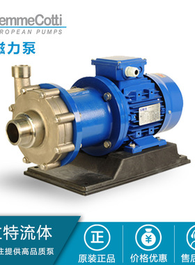 Gemmecotti磁力泵 显热储能技术专用泵 热储能技术专用泵