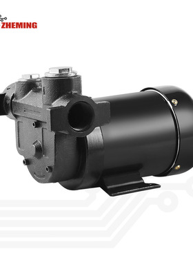 直流加油泵12v24v550w柴油煤油抽电动加油泵DC refueling pump