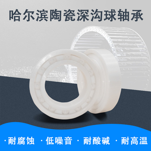 6303 6308 氧化锆全陶瓷轴承6300 6302 6306 6307 6305 6301 6304